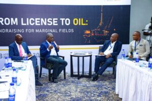 Fundraising For Marginal Fields